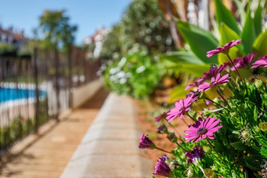 Apartmán Hato Verde Golf Oasis De Paz En El Paraiso La Pajanosas Exteriér fotografie